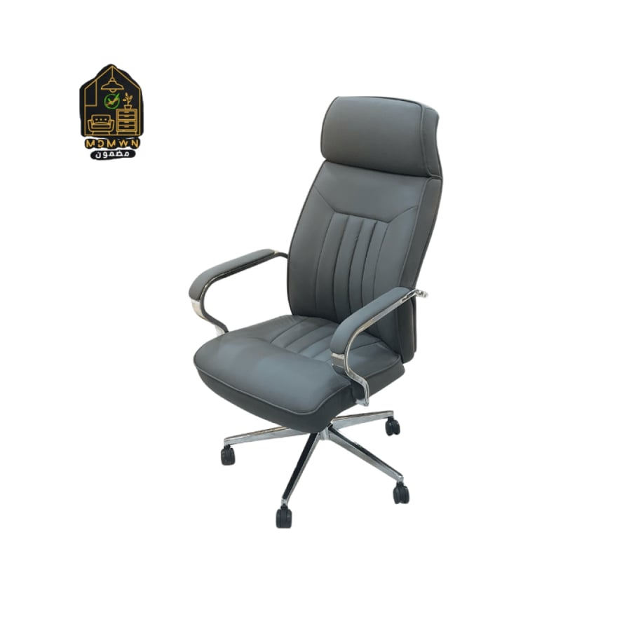 Modern orthopedic executive office chair, two colors