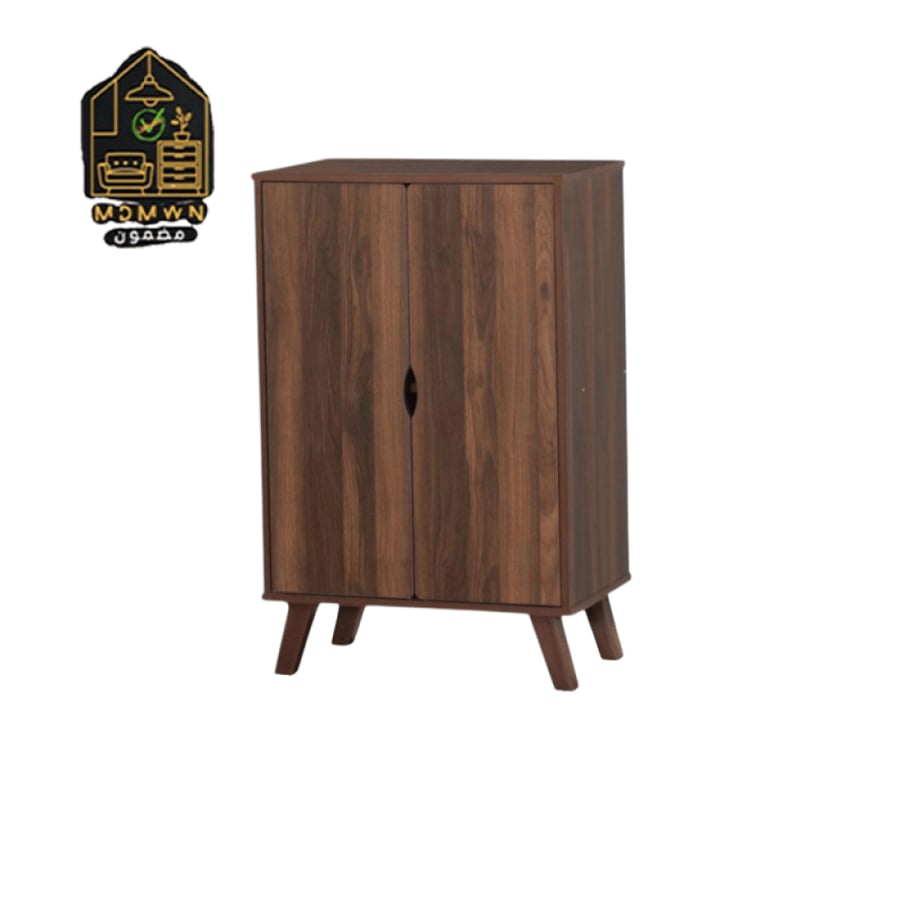 Modern shoe cabinet