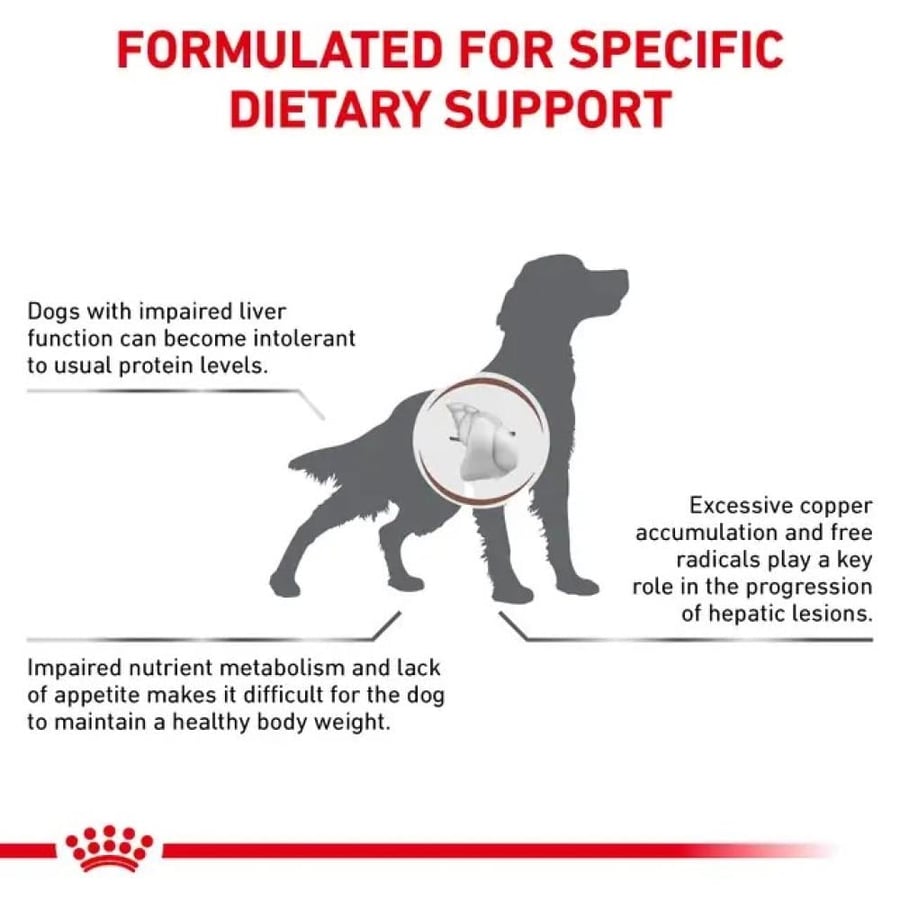 Royal Canin Hepatic Medical Dry Food for Liver and Gallbladder Care, 1.5 kg for Dogs