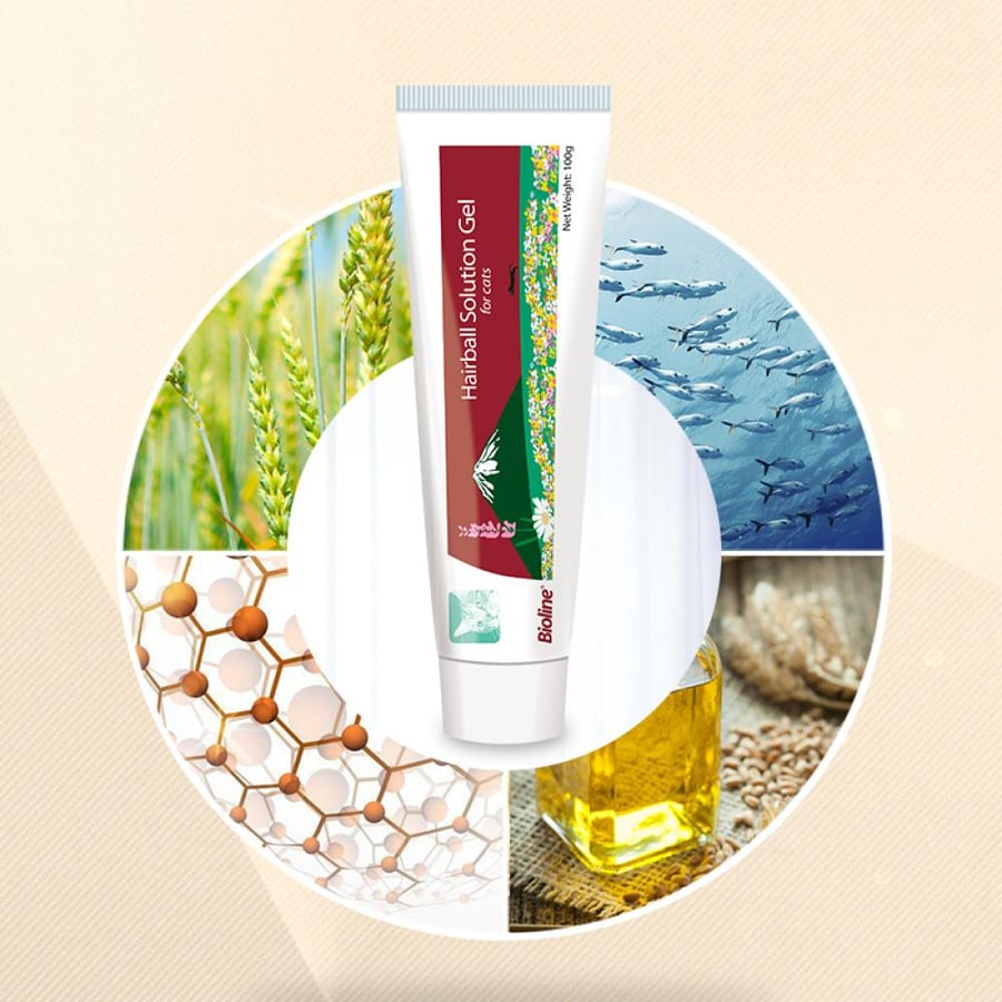 بايولاين - بايولاين جل لإزالة كرات الشعر للقطط – BioLine Hairball Solution Gel 100 جم