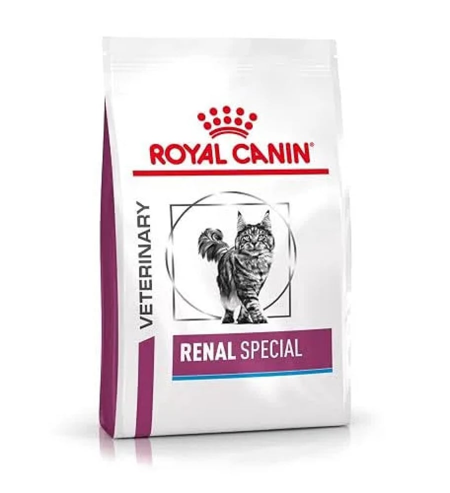 رويال كانين رينال سبيشال للقطط 4 كيلو | Royal Canin Renal Special طعام جاف بيطري لدعم صحة الكلى