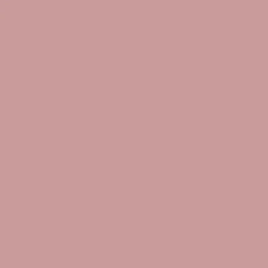 Polver Nail Polish 614