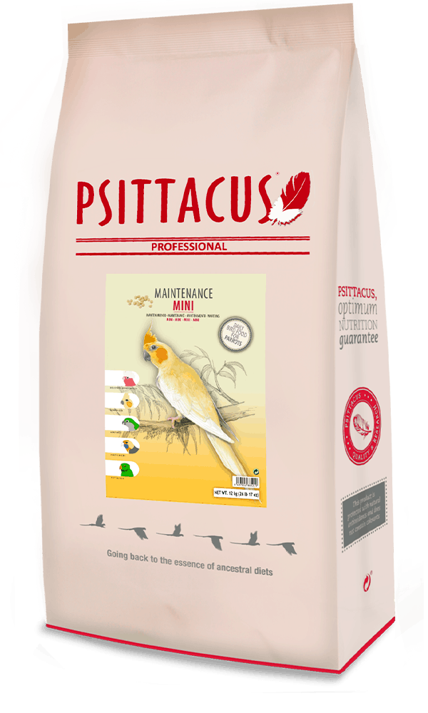 غذاء ببغاوات متوسطه فيشر روز كروان كنيور ميني سيتاكوس PSITTACUS MINI