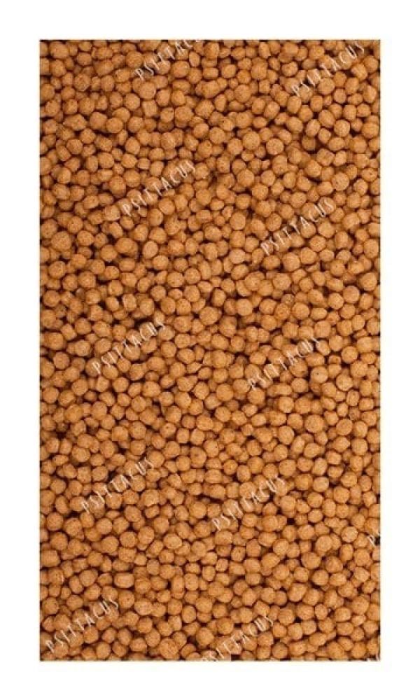 غذاء ببغاوات متوسطه فيشر روز كروان كنيور ميني سيتاكوس PSITTACUS MINI