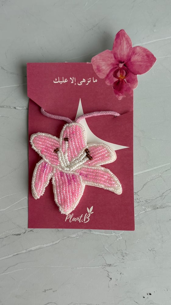 بكج Blossom