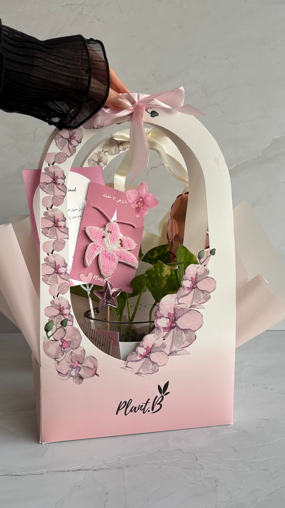 بكج Blossom