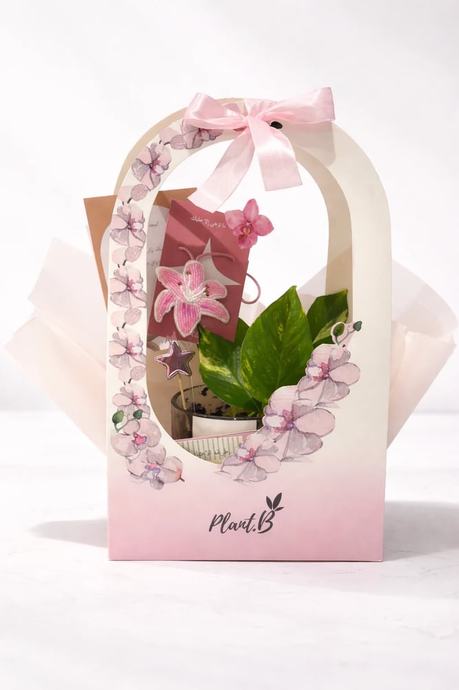 بكج Blossom
