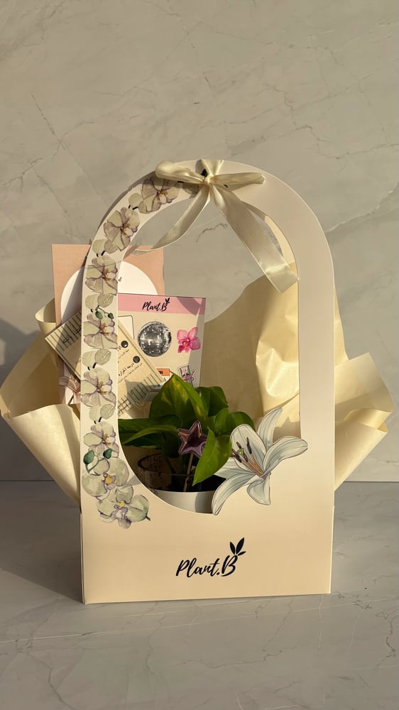 بوتس
