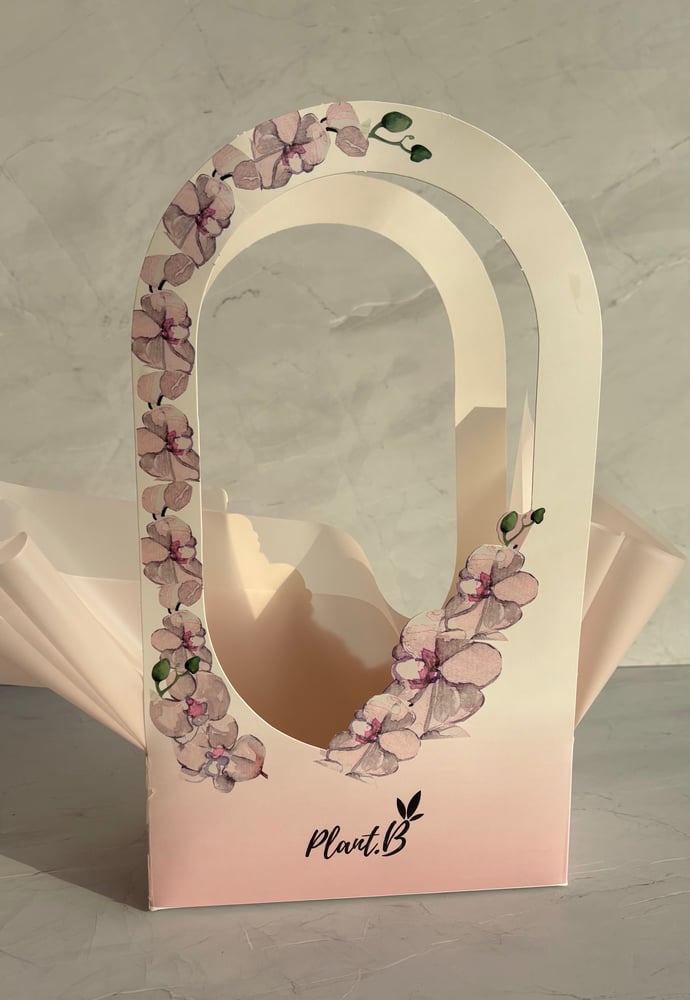 بوتس