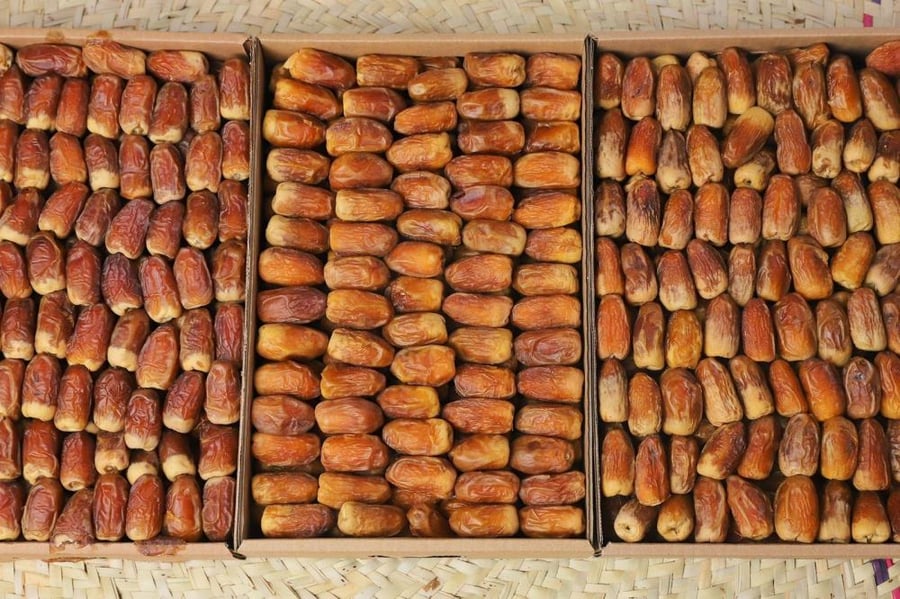 عرض 3 كراتين صقعي
