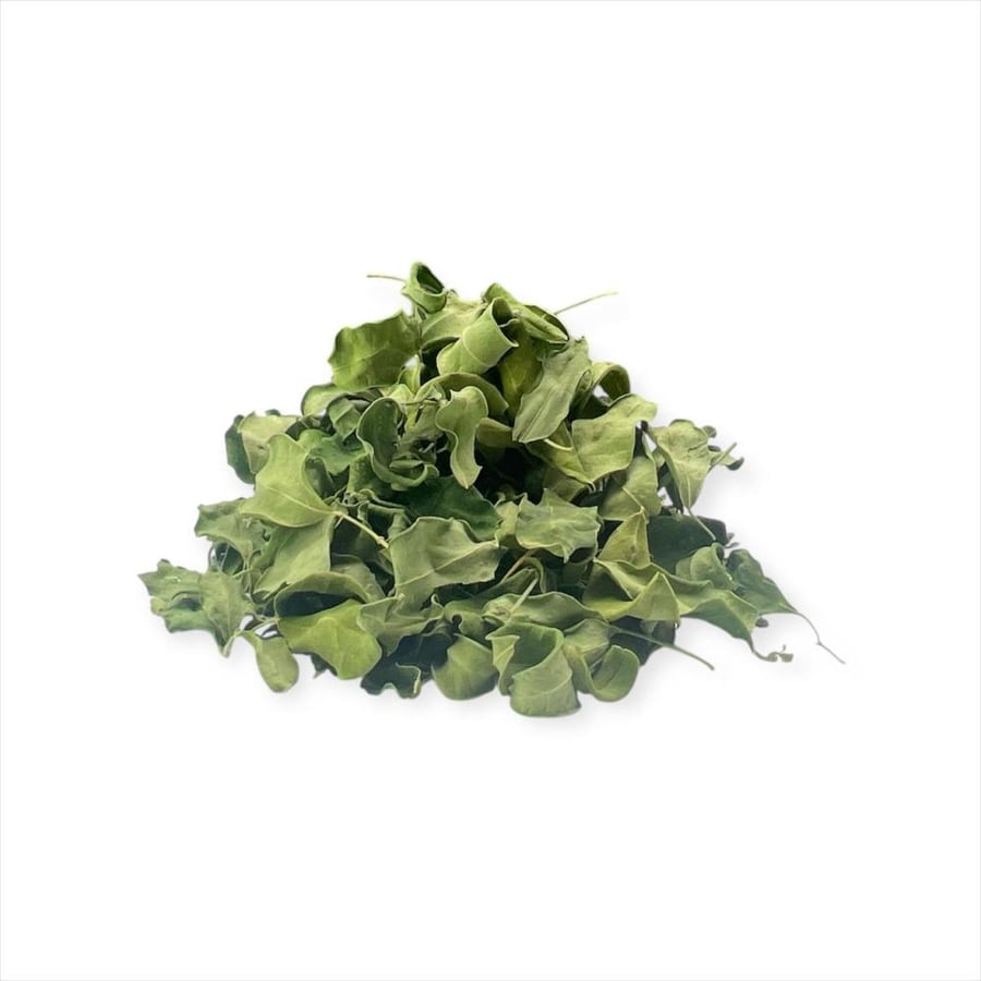 ورق مورينجا عضوي علبة