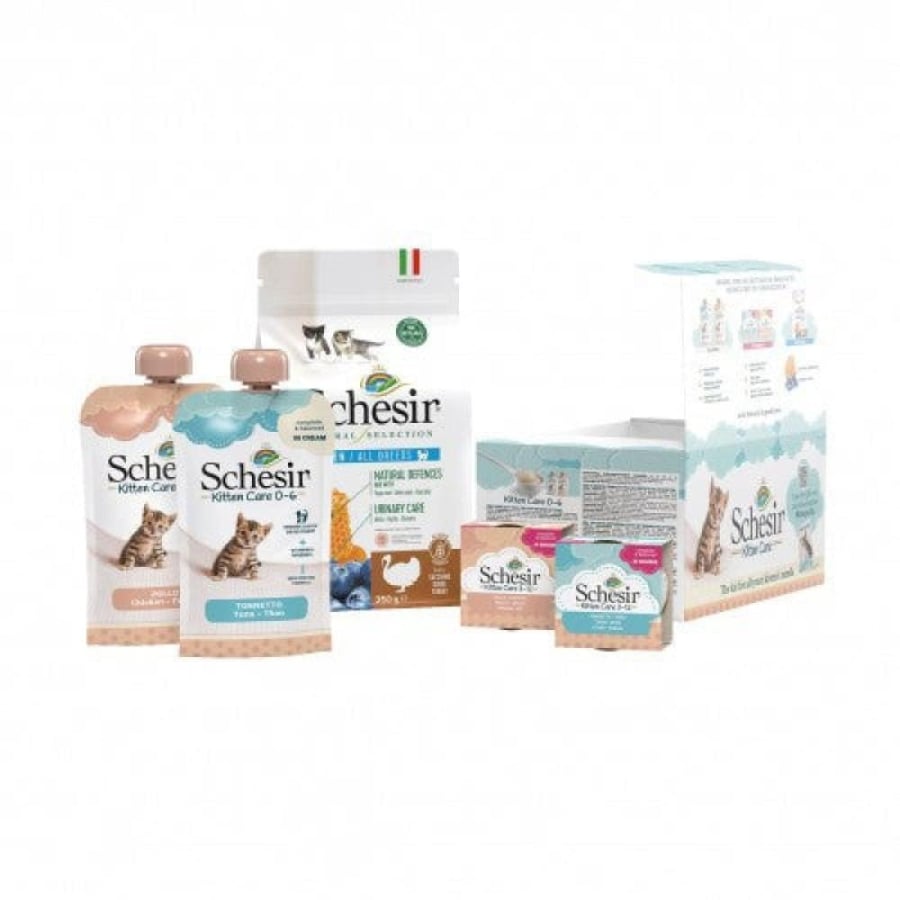 Dry and wet food set and rewards for caring for small cats 820g