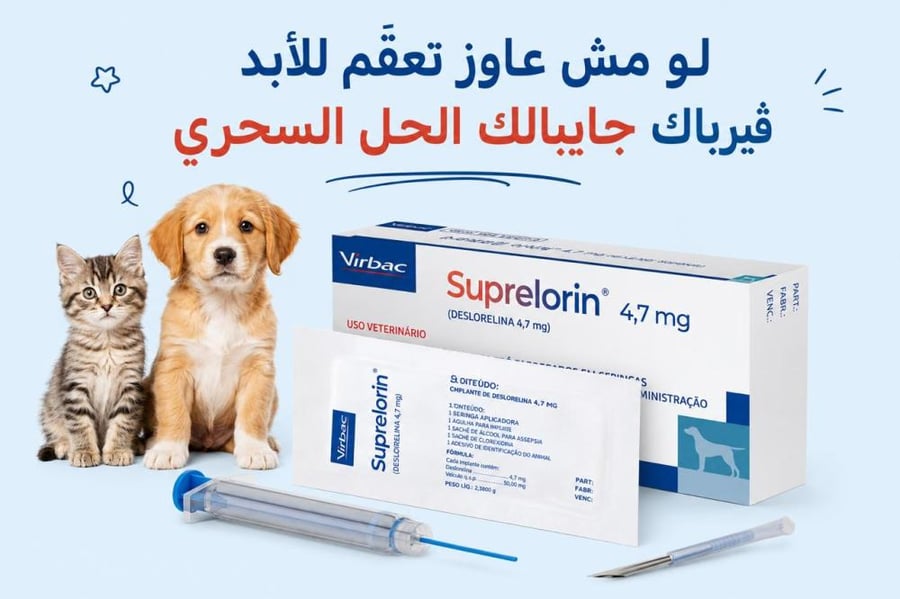 سوبريلورين (Suprelorin) غرسة منع حمل مؤقتة للكلاب والقطط من شركة فيرباك الفرنسية Suprelorin From Verbac Company