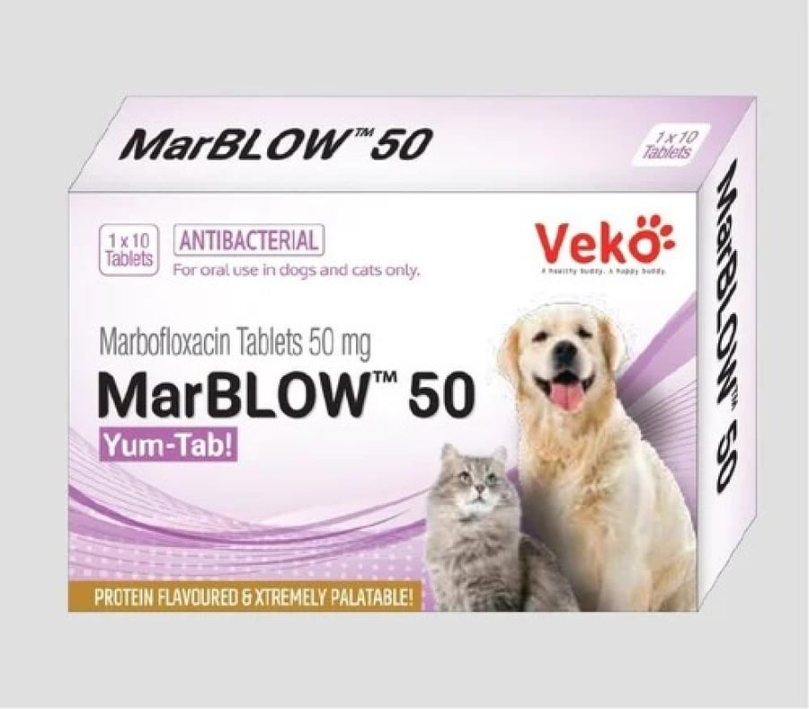 اقراص ماربوفلوكساسين 50 جم  لعلاج العدوى لدى الكلاب والقطط من شركة فيكو MarBLOW From Veko Company