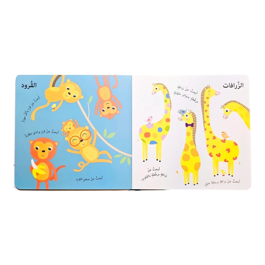أنا أبحث -في الغابة