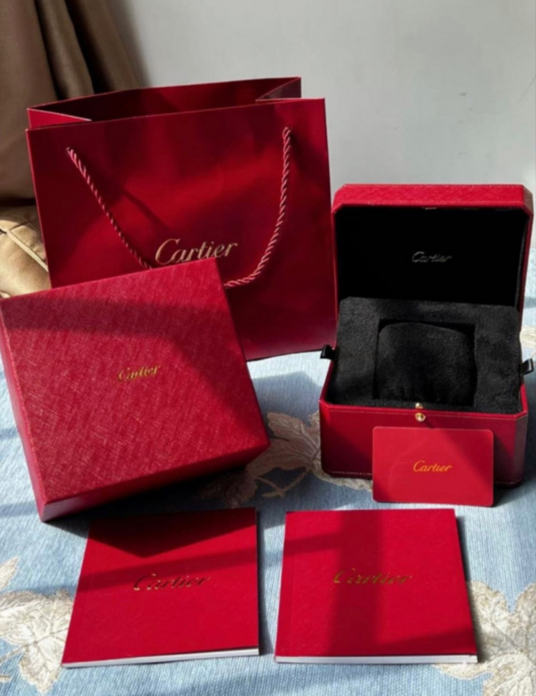 ساعة كارتير سانتوس دومو