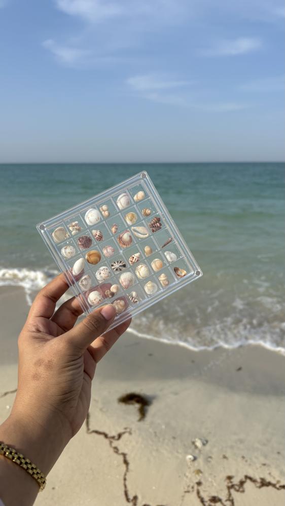 اصداف راس تنورة