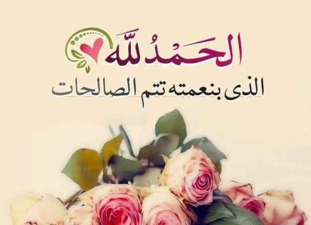 ام ريان احمد