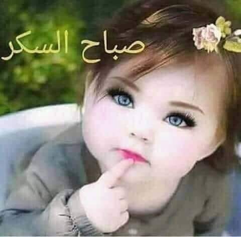 حافظ بيضي
