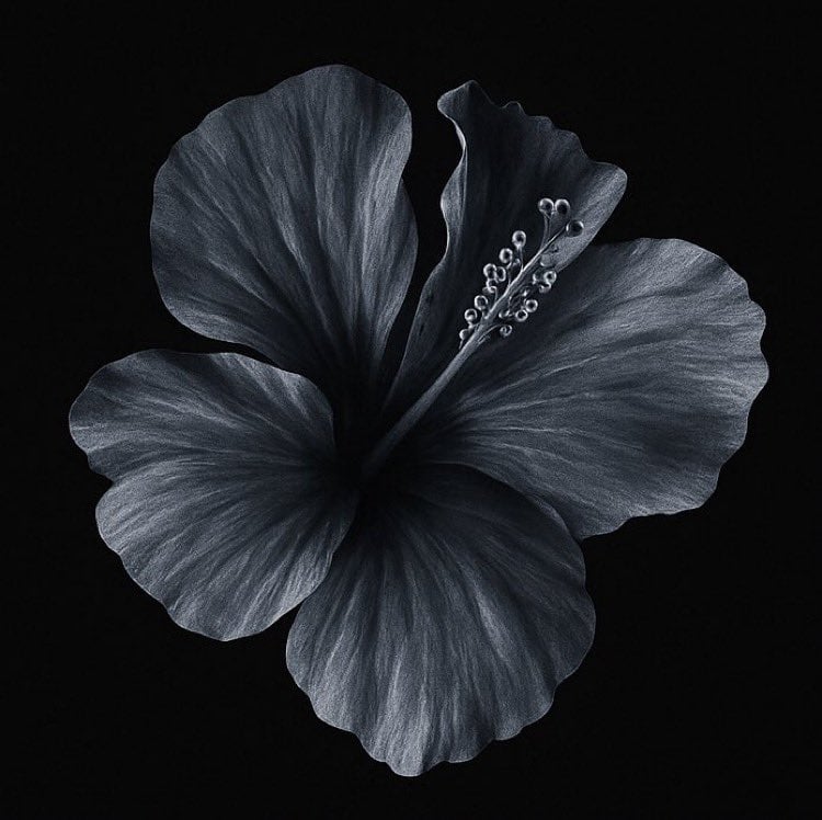 سلمى المالكي