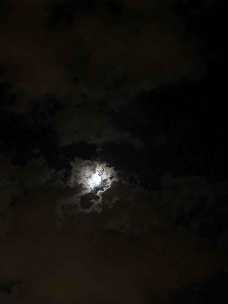 أبرار سليمان