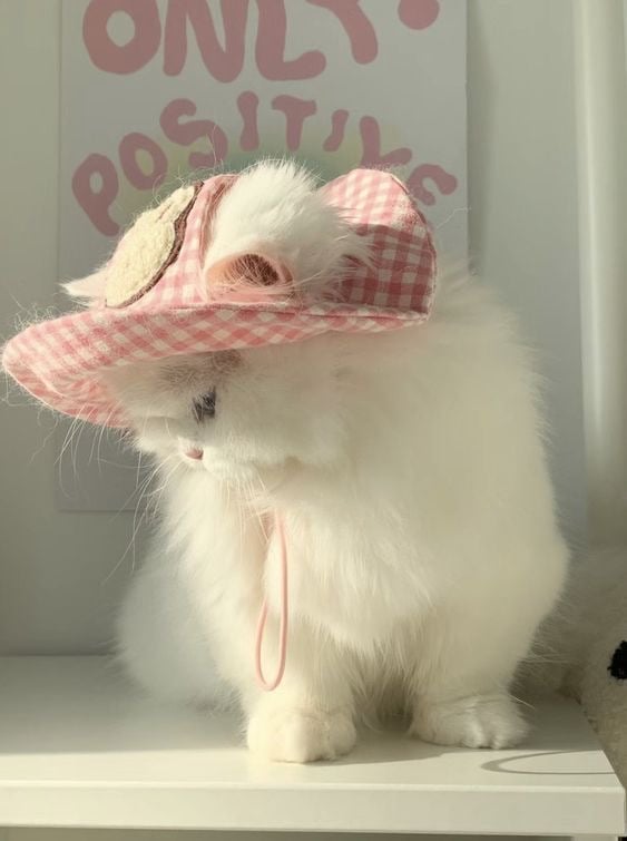 إيلاف اا