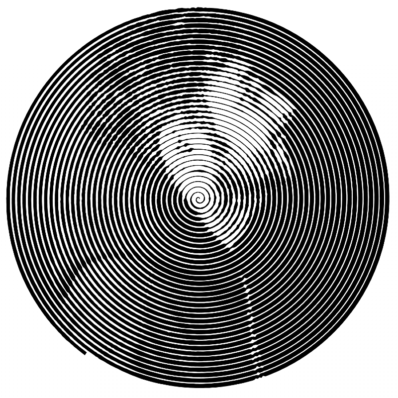 زايد البارقي