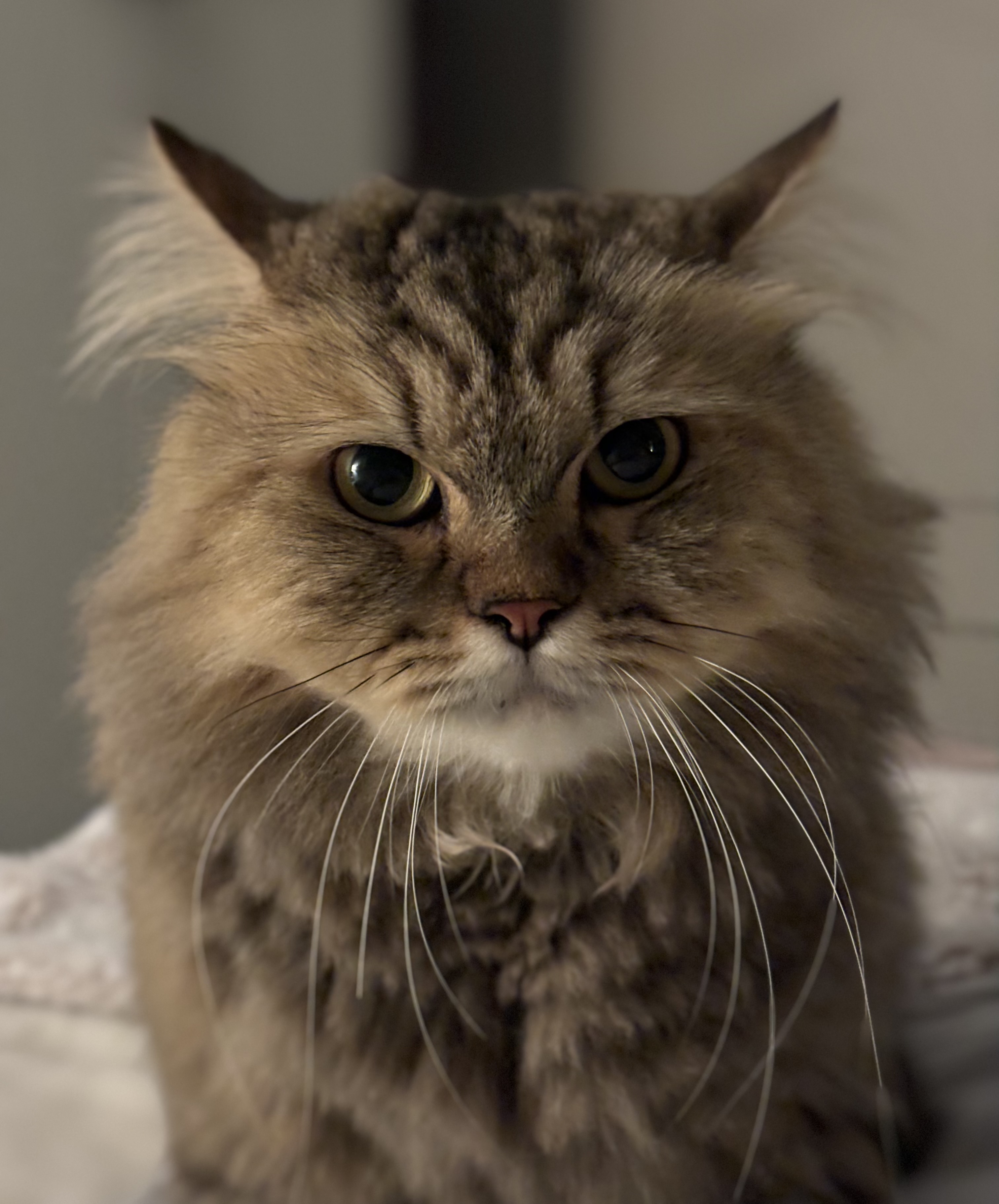 مريم الزهراني