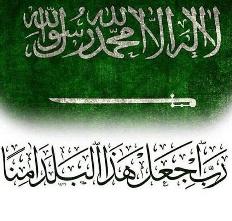 نايف الرشيدي