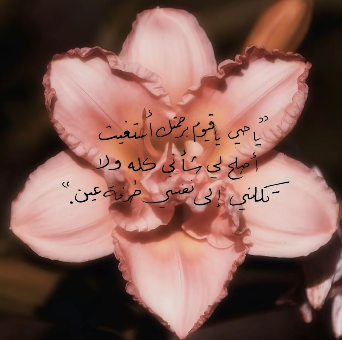 بثينه العتيبي