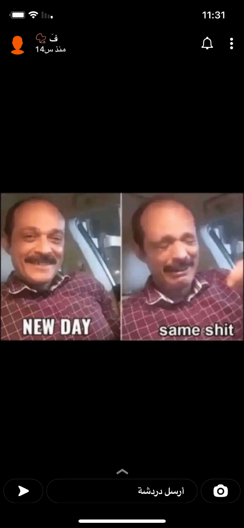 ميساء عبدالله