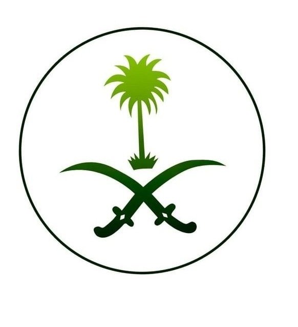 سعد عبدالعزيز