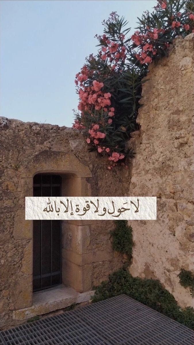 البندري عبدالكريم