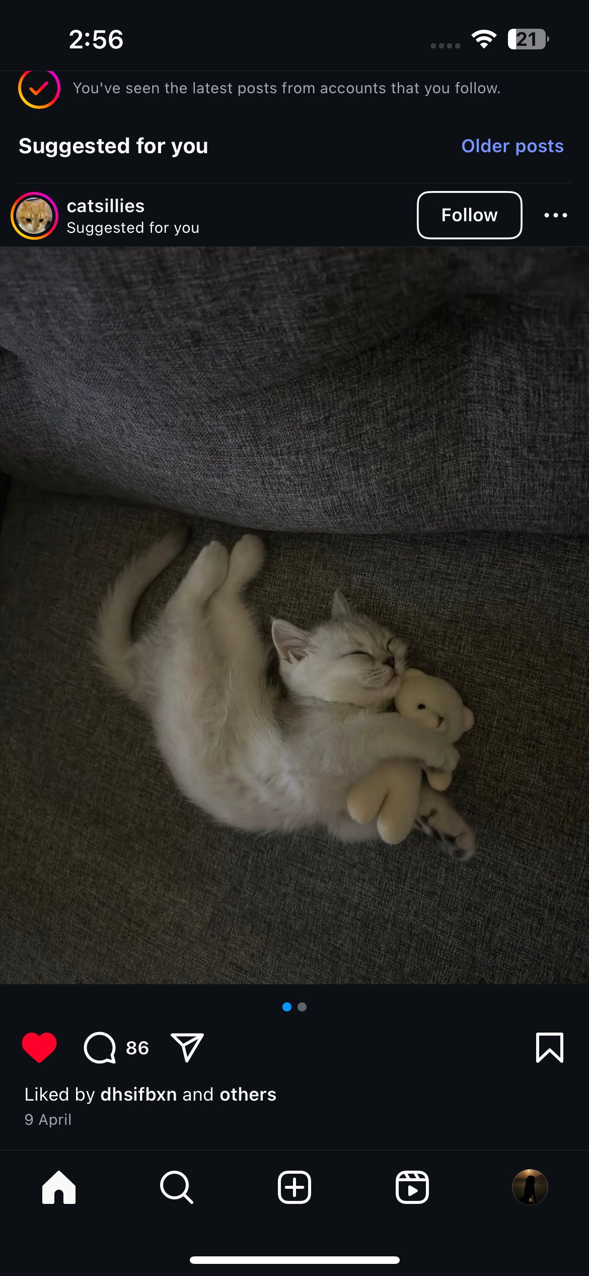 ياسمين اليامي