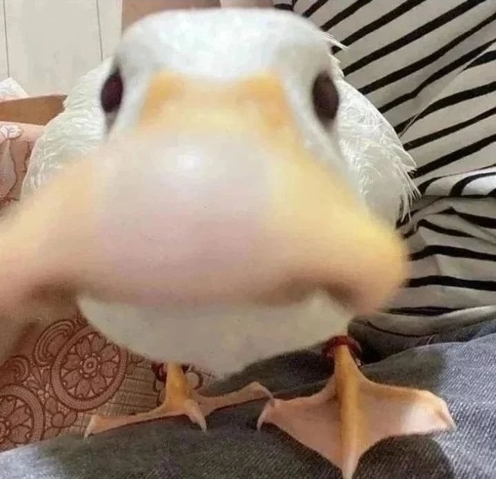 عبدالله راينهارت