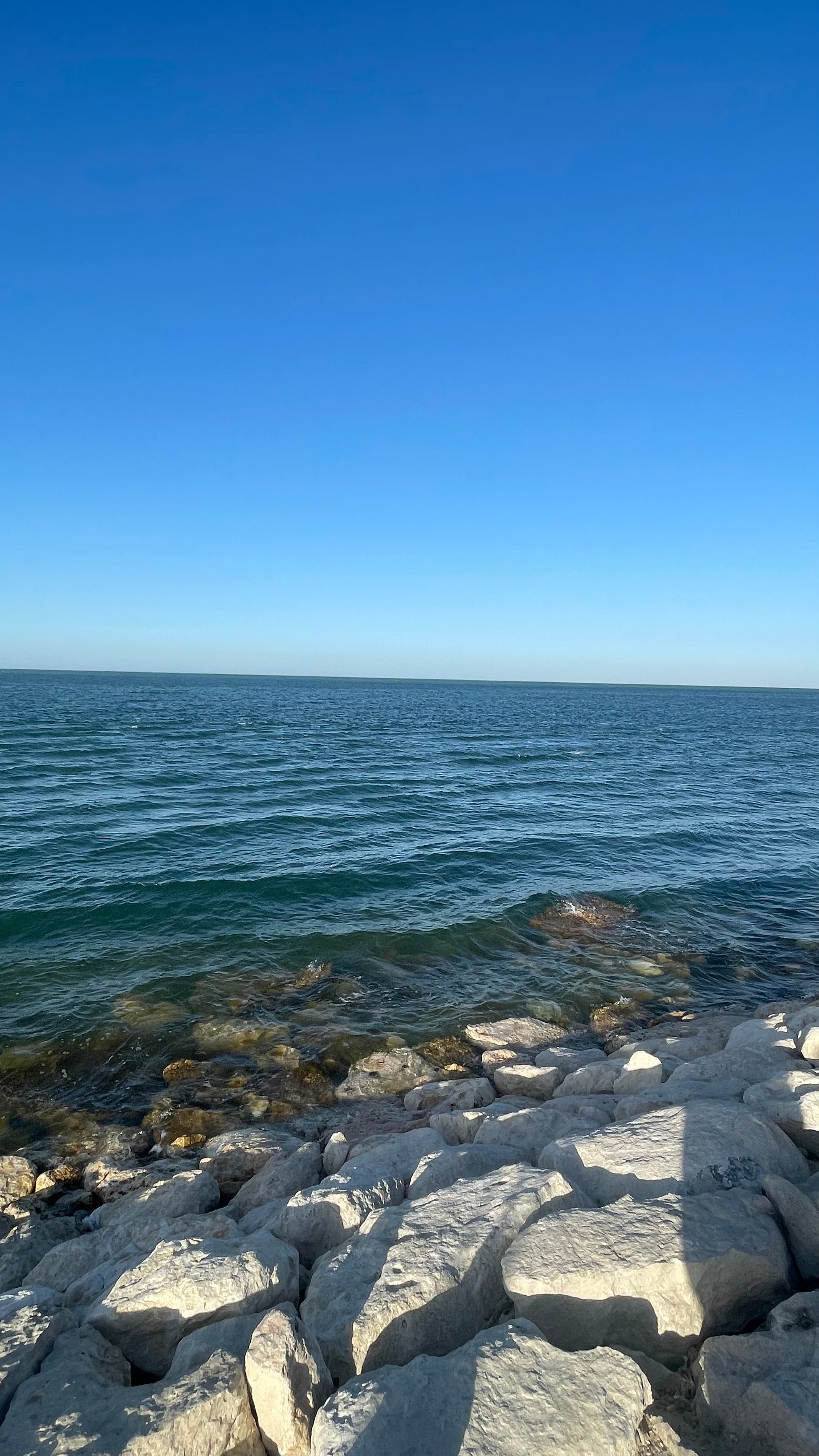 منيرة الشمري