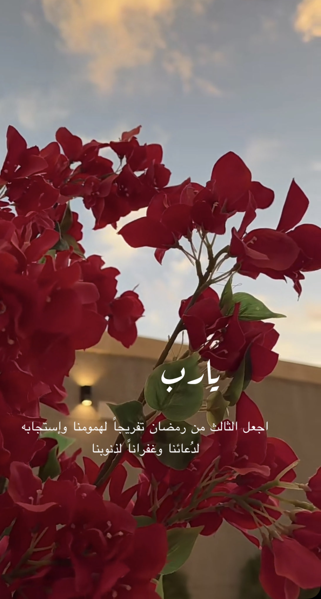 محمد العتيبي