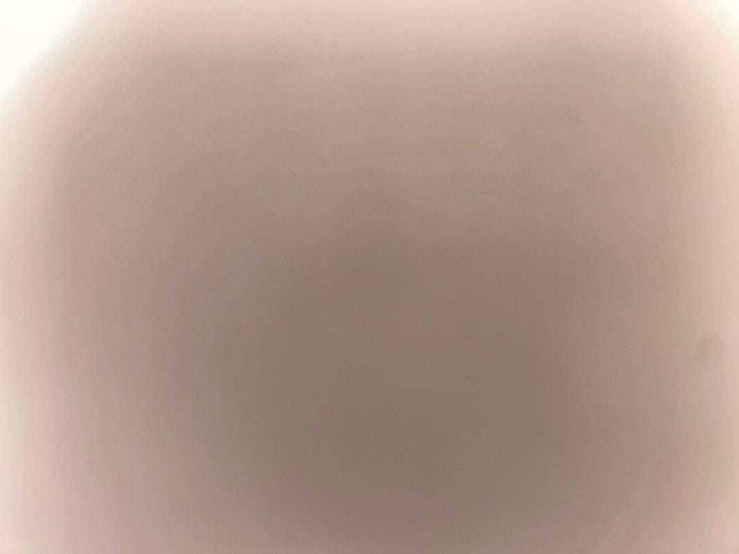 تركي الشمري