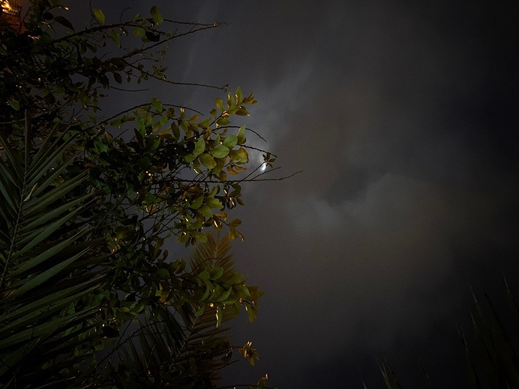 مشاعل الجهني