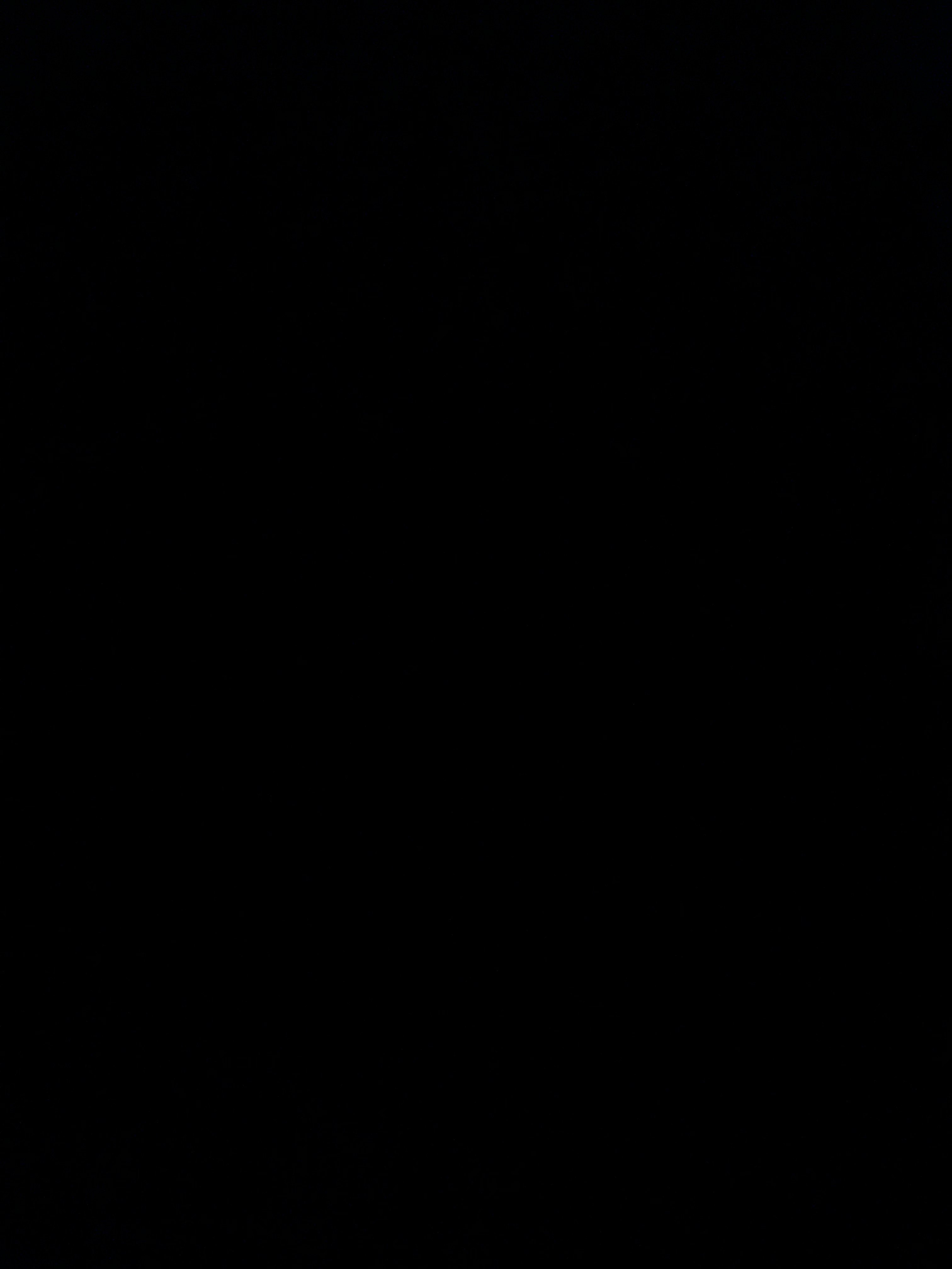 افنان الفيفي