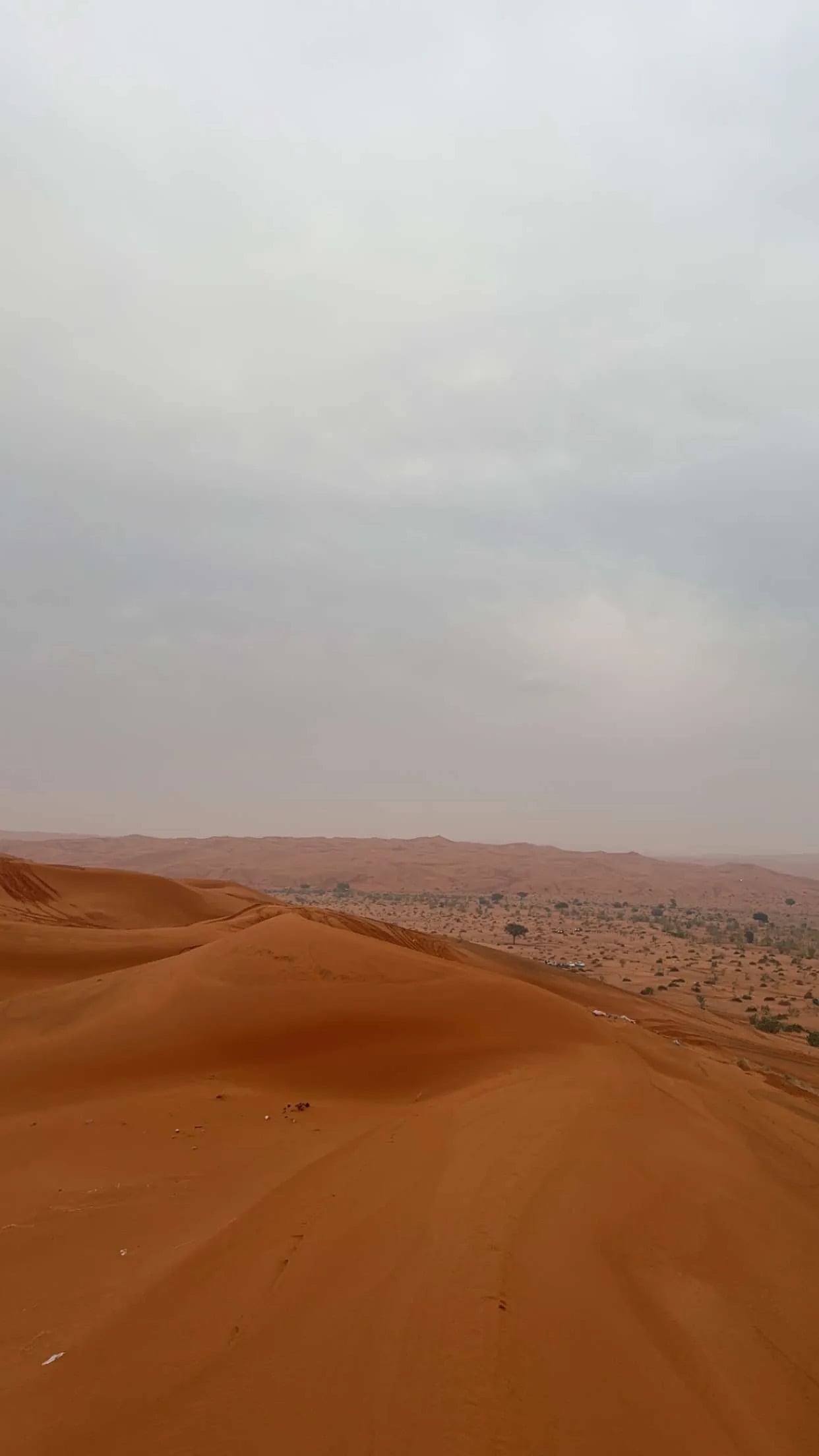 زين العابدين الصيعري