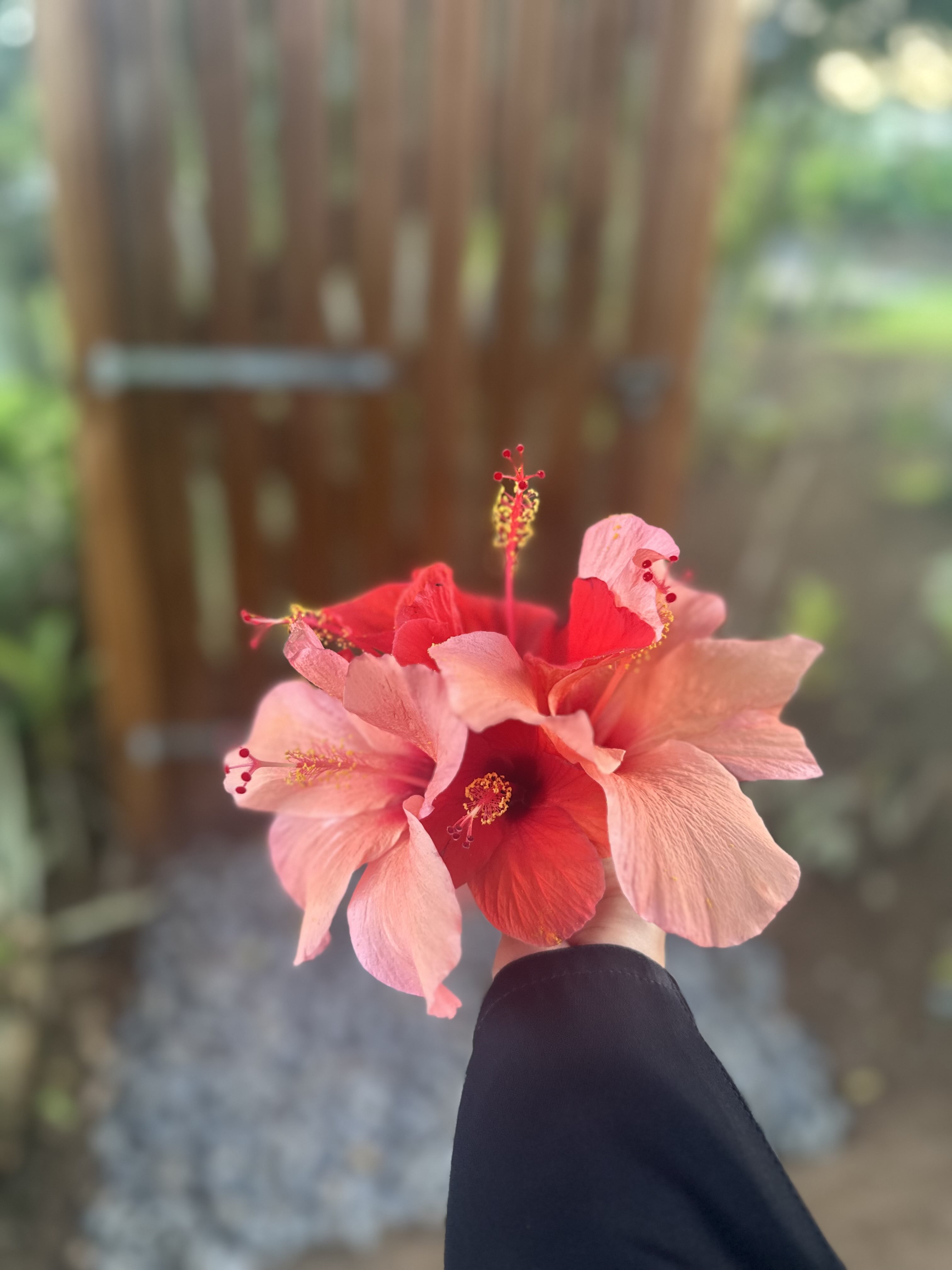 عبدالعزيز .