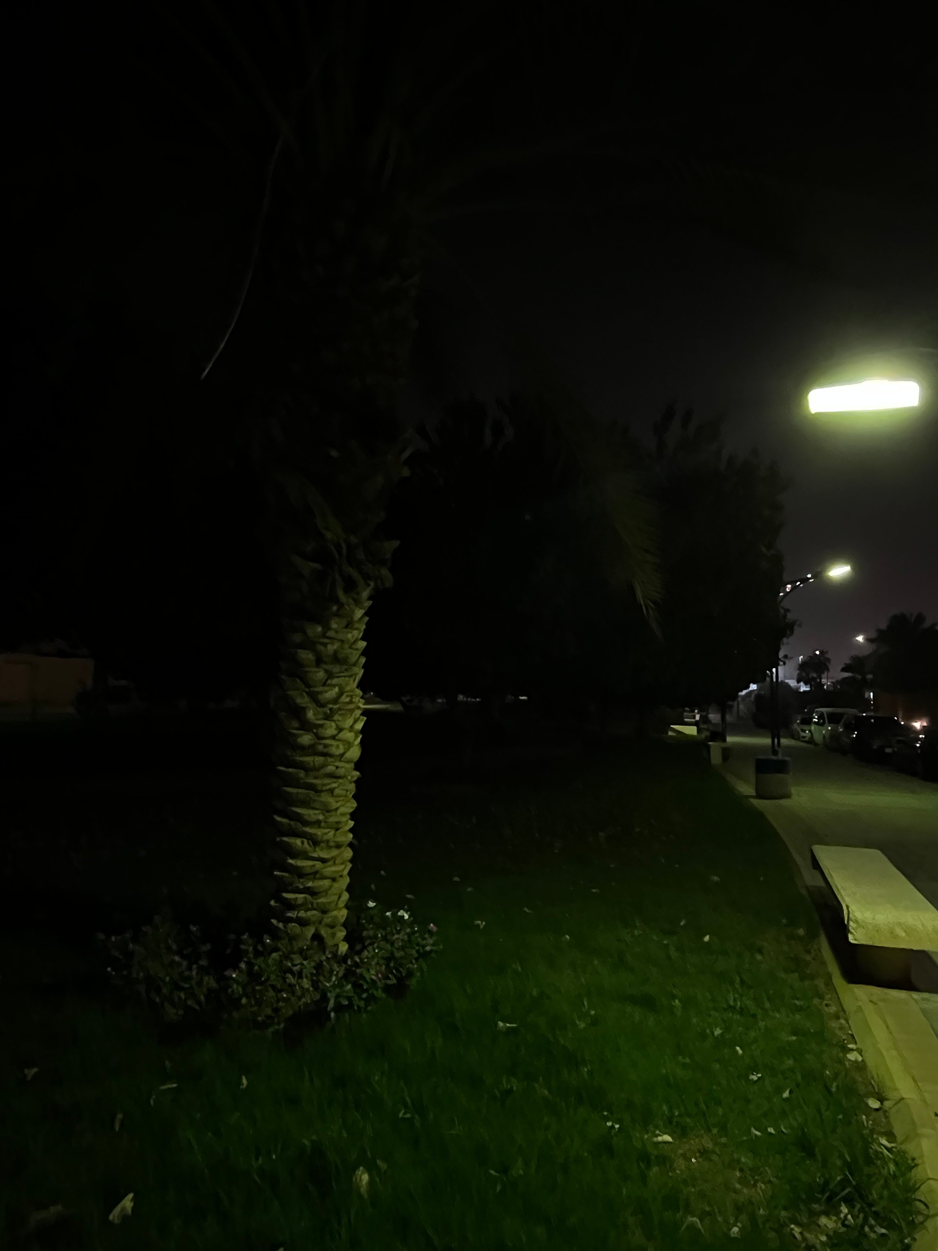 ينال عبدالحق