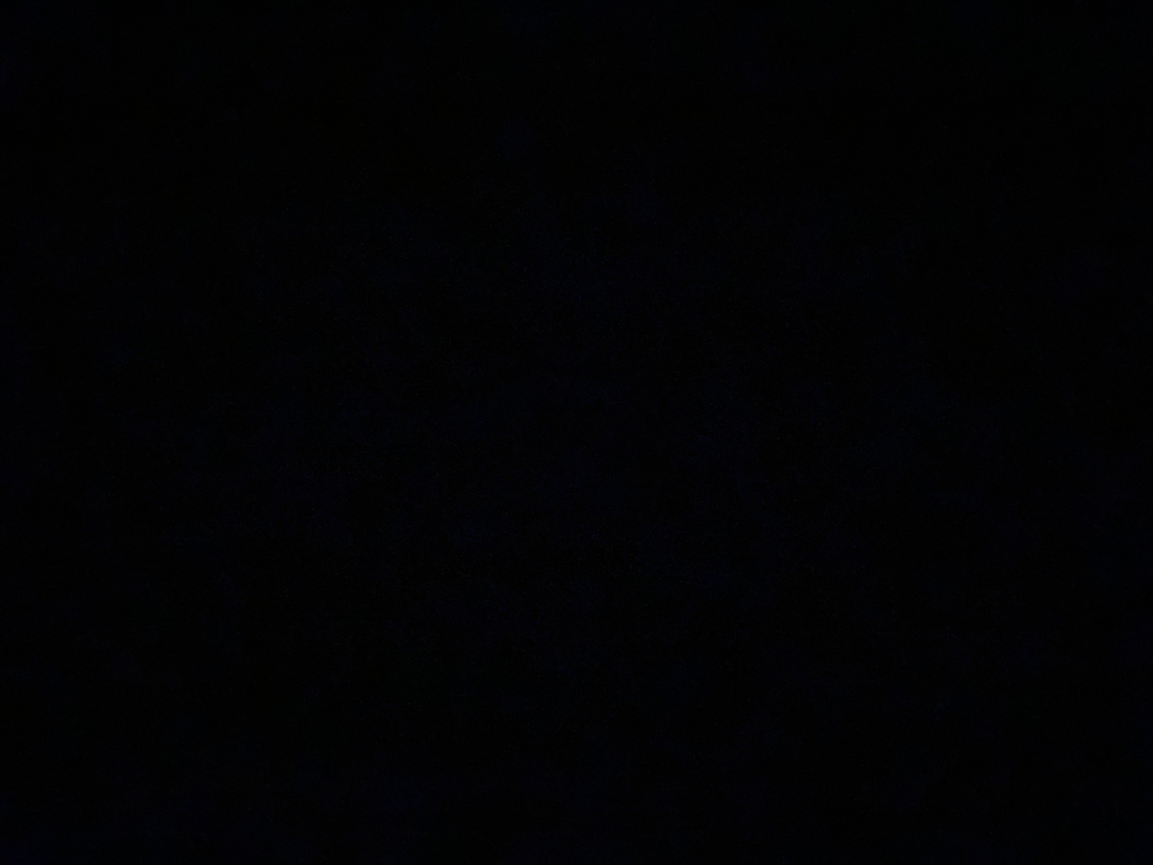 محمد اليامي