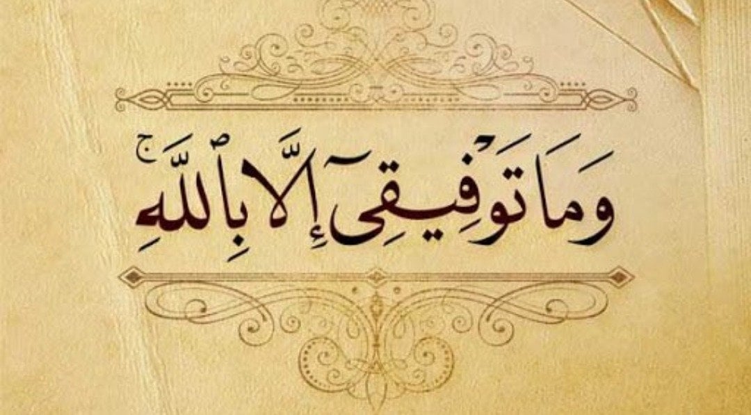 دانه الشمري