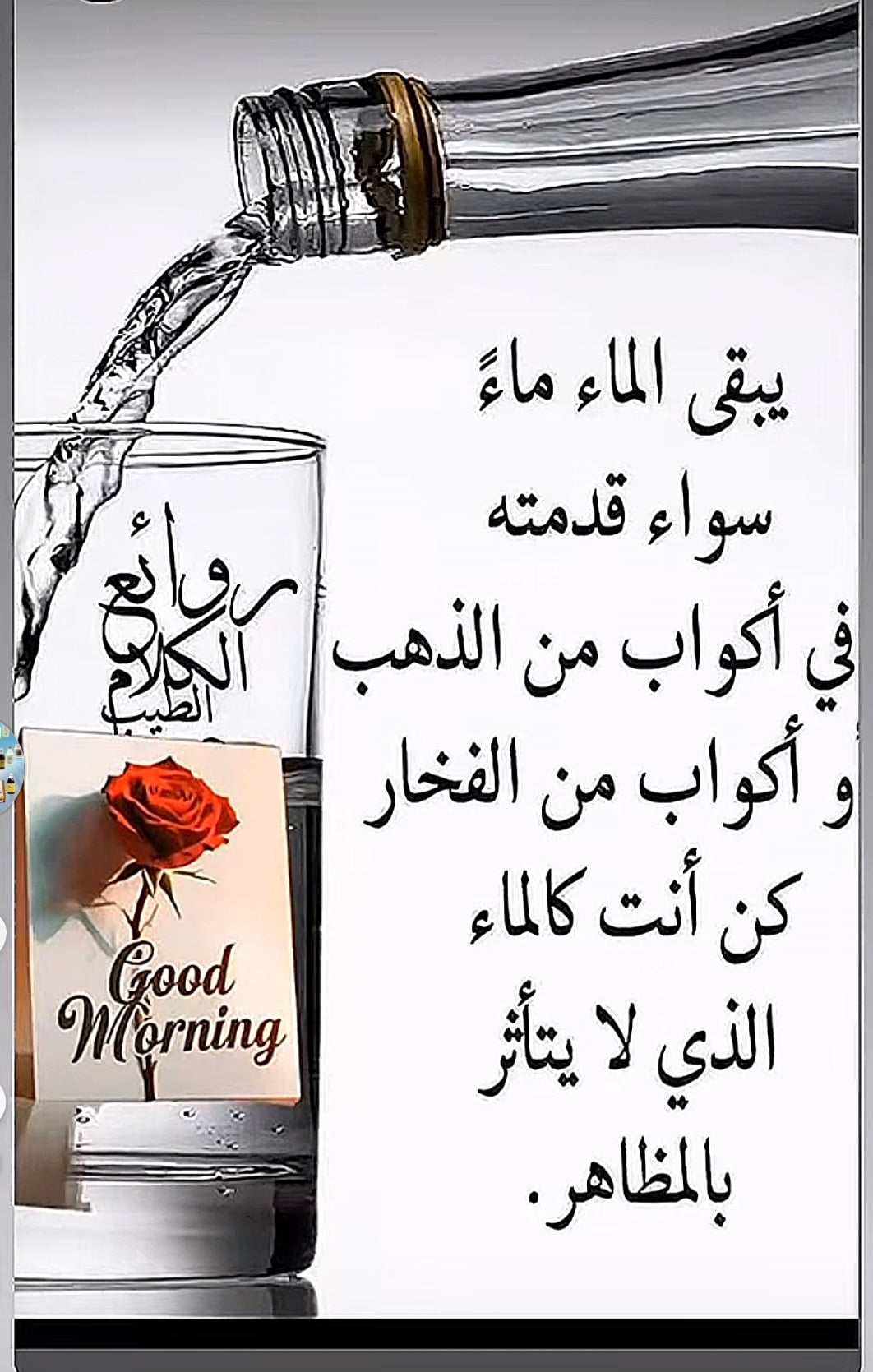 تهاني الدليمى