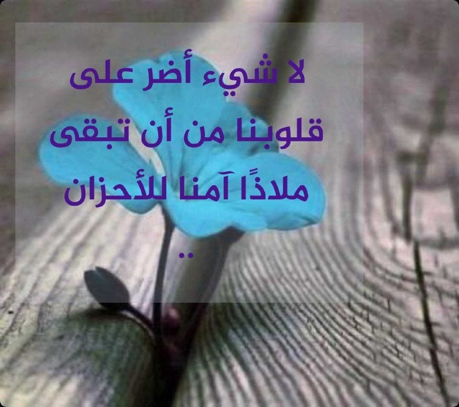 ام ود .ق
