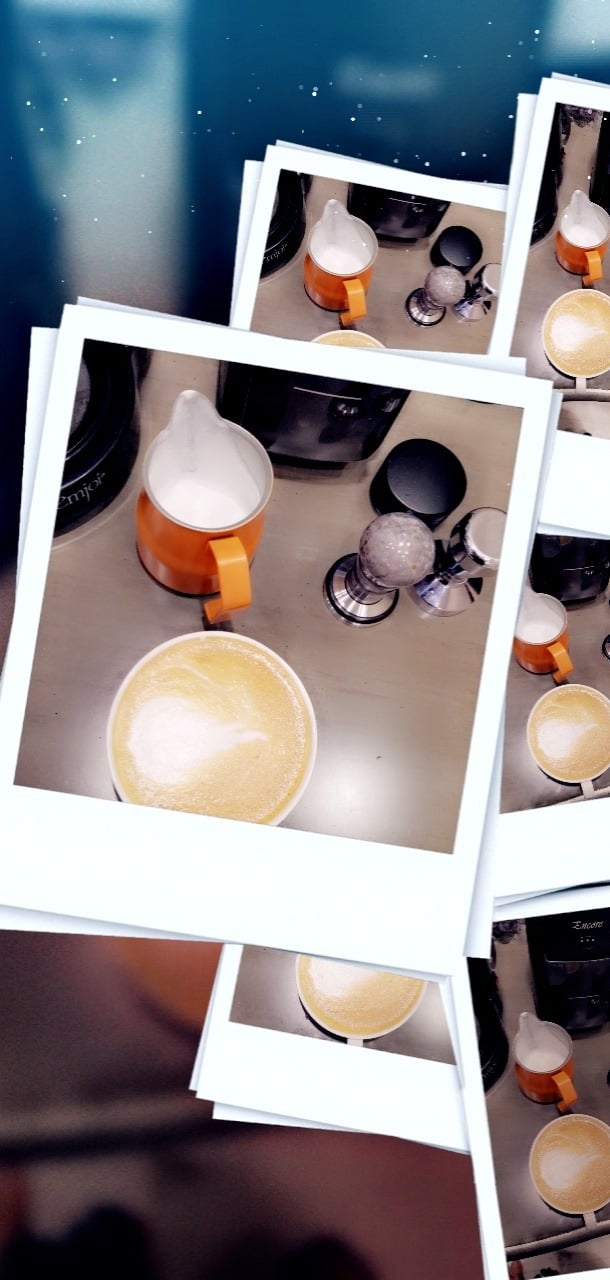 أحمد المشرعي