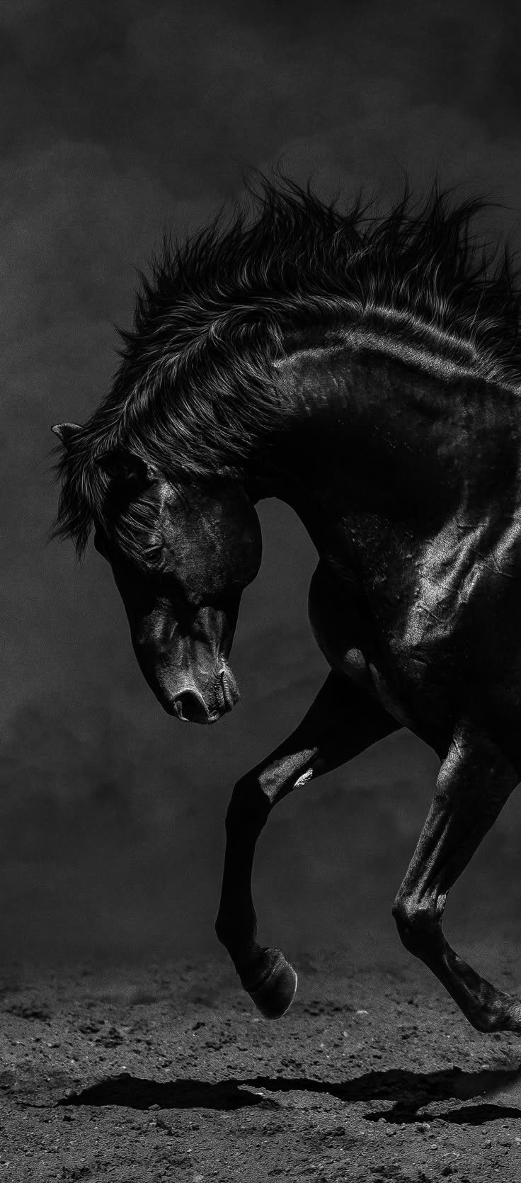 اسرار شهراني