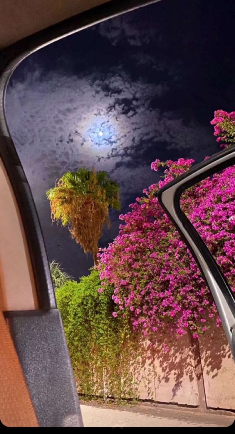 ريم عبدالعزيز